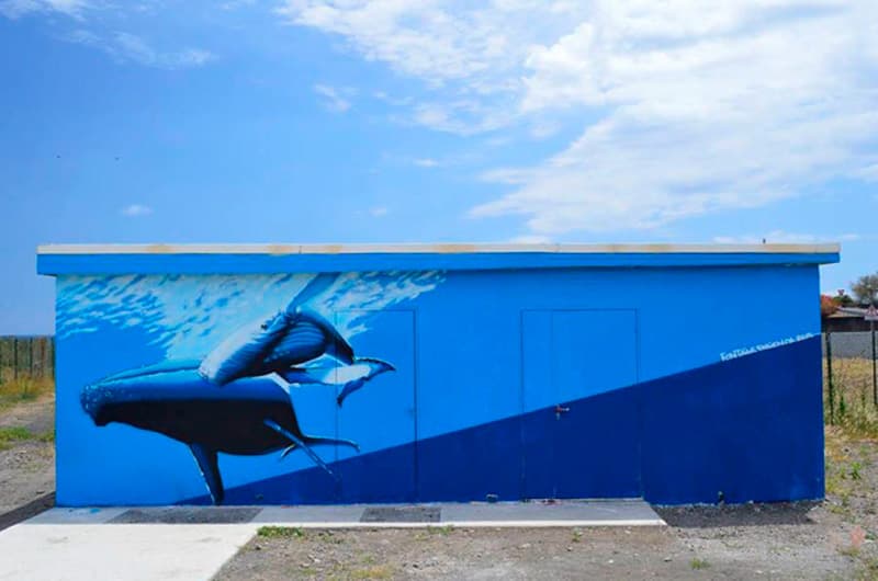 street art francia