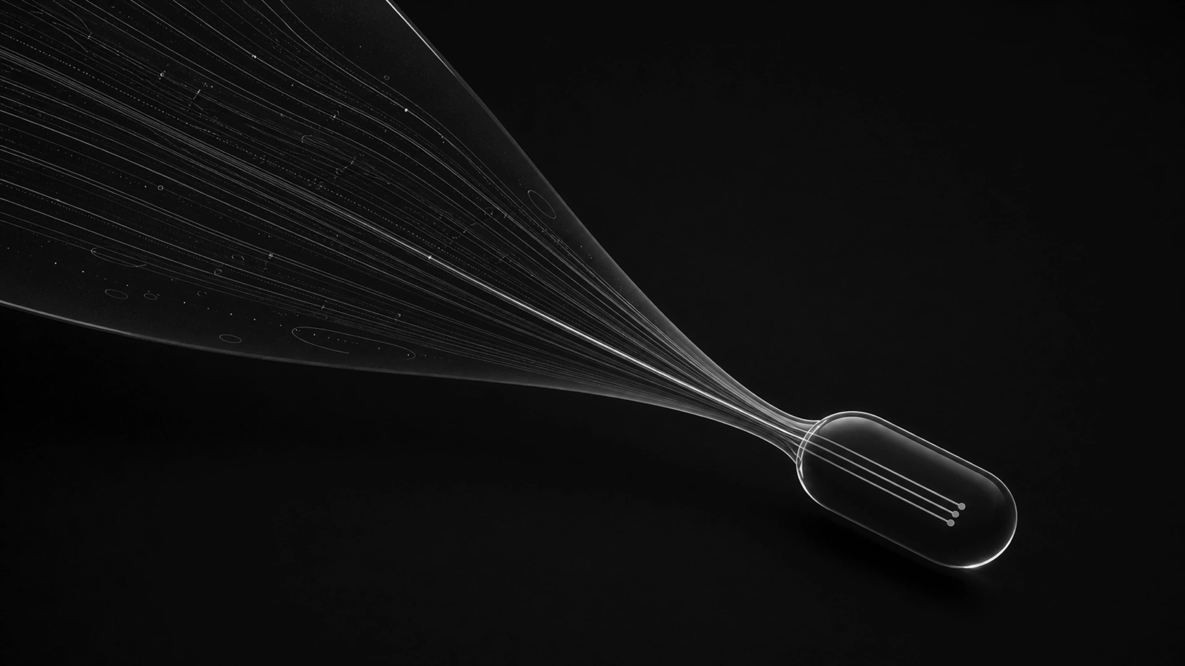 Social-Media-Bio