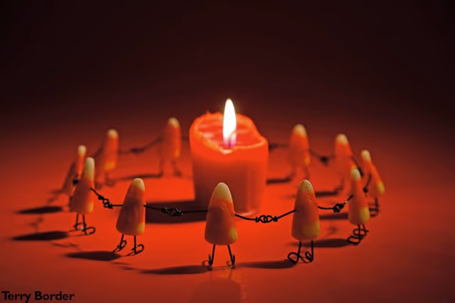 Terry Border: Creatividad sin límites