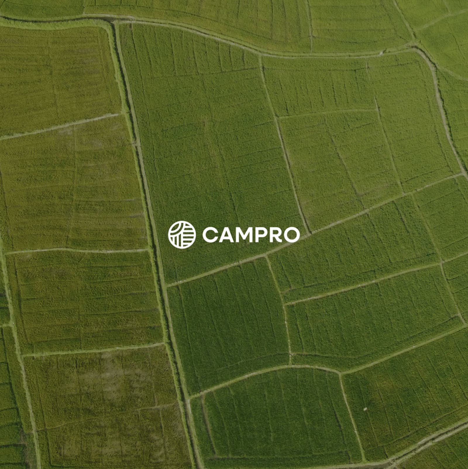 Identidad visual corporativa para consultoría ambiental