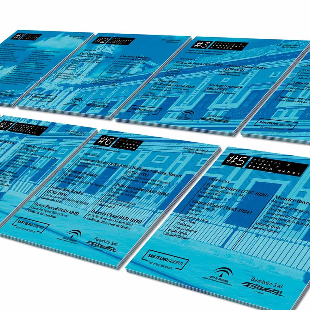 Diseño de programa y flyer