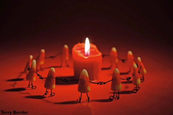 Terry Border: Creatividad sin límites