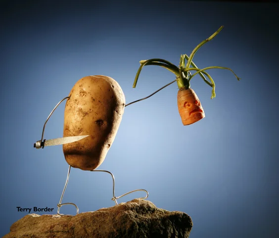 Terry Border: Creatividad sin límites