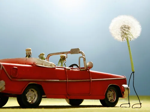 personificación coche