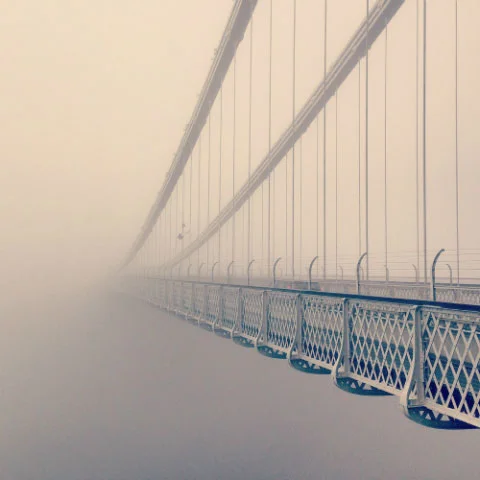 imagen destacada del post Las 20 mejores fotografías hechas con el móvil