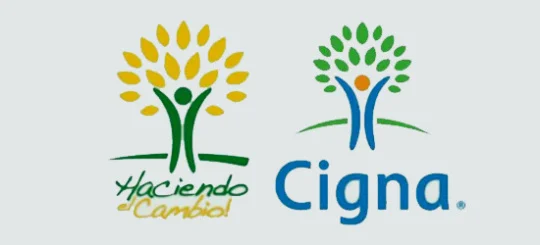 logo plagiado