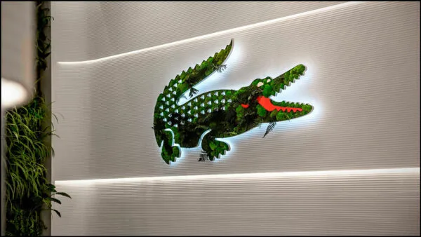 imagen destacada del post Identidad vegetal, una nueva forma de impactar