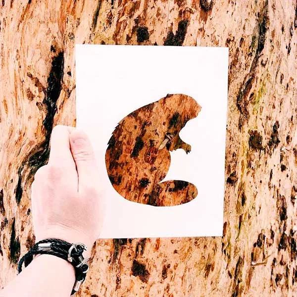 imagen destacada del post