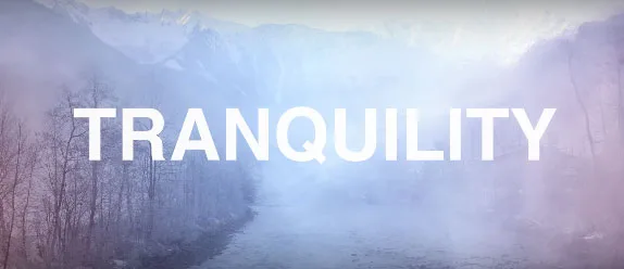 imagen destacada del post Pantone lanza dos nuevos colores para 2016