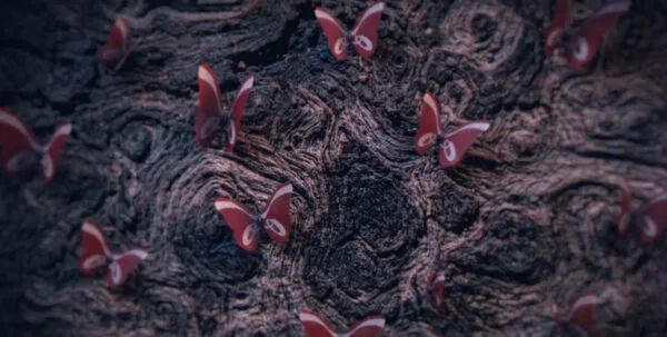 imagen destacada del post Publicidad hasta en sueños