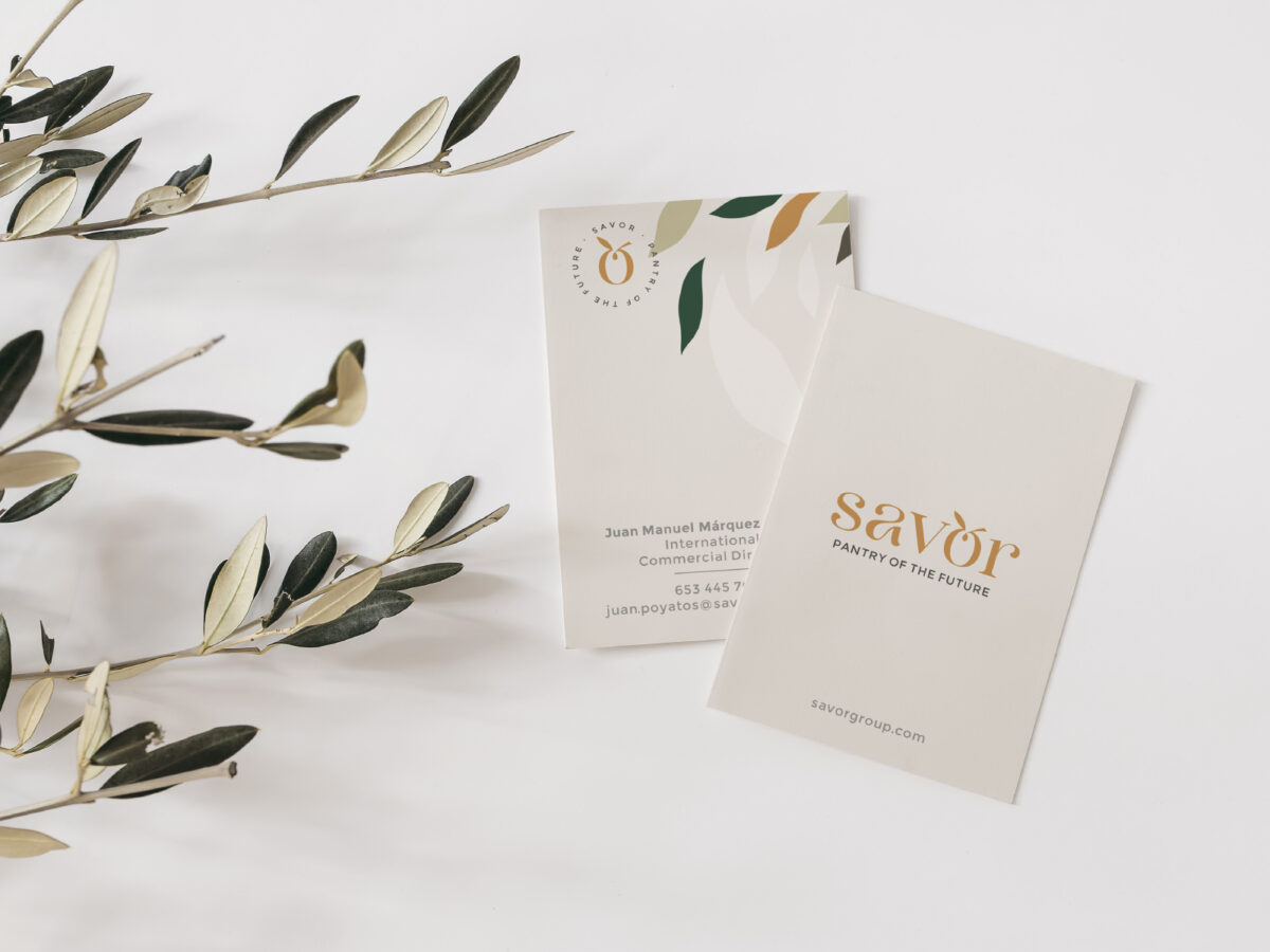 presentacion_visual_savor 6