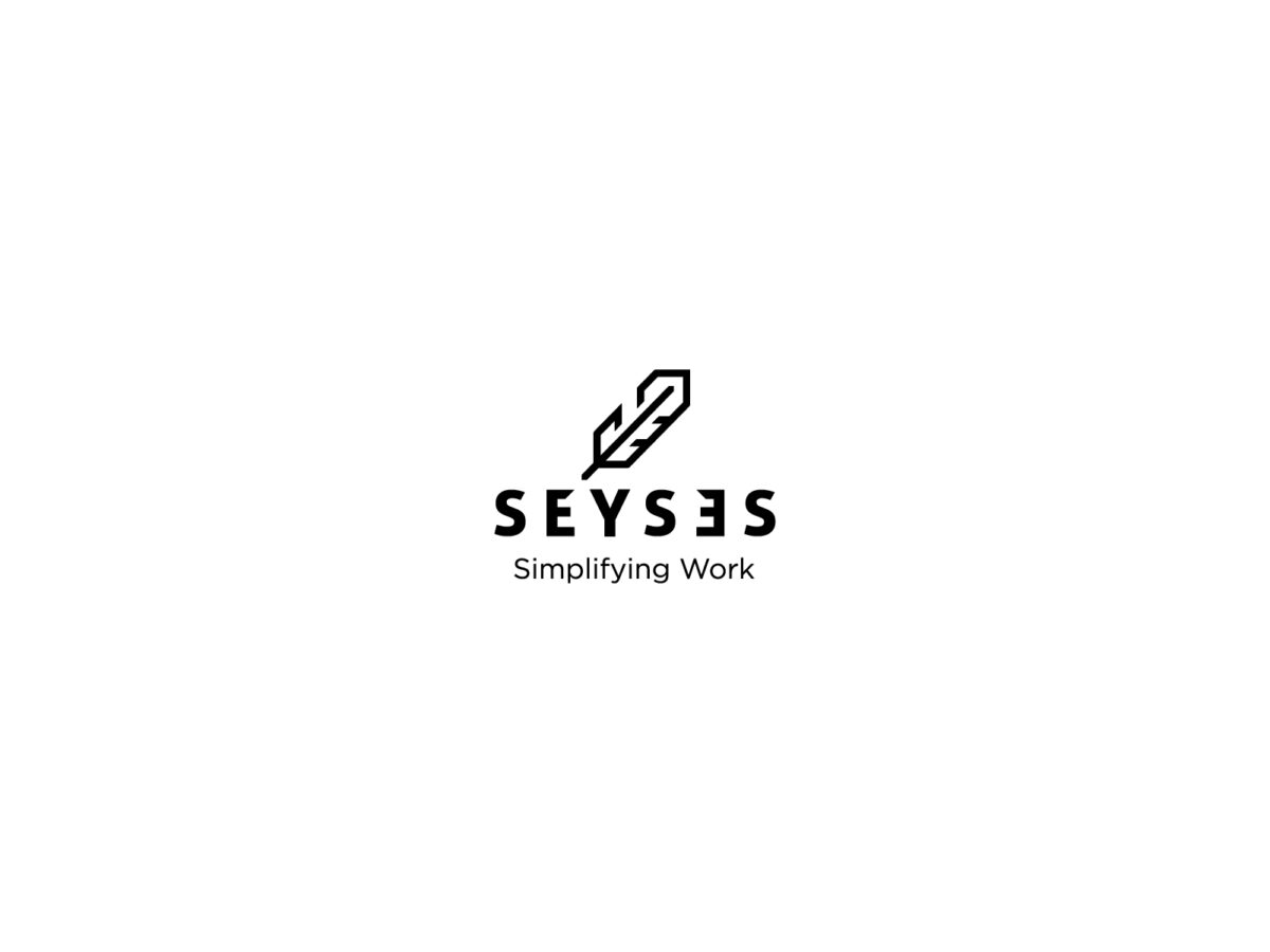 presentacion_visual_seyses_3