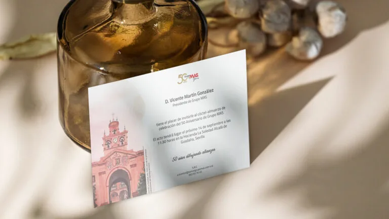 imagen destacada del caso de éxito Identidad y diseño gráfico