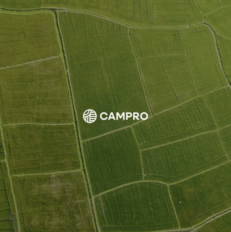 imagen destacada del caso de éxito Identidad visual corporativa para